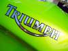 The ultimate green Monster - Triumph Speed Triple by Felgenprofi