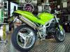 The ultimate green Monster - Triumph Speed Triple by Felgenprofi